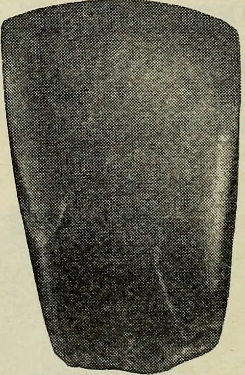 An illustration from Ohio archæological and historical quarterly, 1887, leaf 591