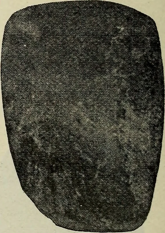 An illustration from Ohio archæological and historical quarterly, 1887, leaf 591
