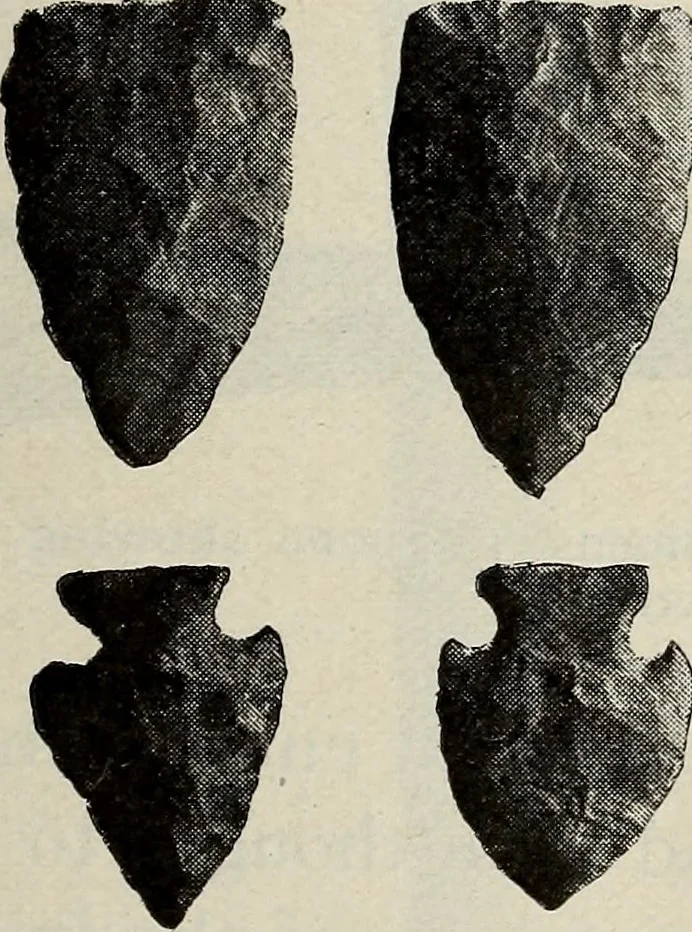 An illustration from Ohio archæological and historical quarterly, 1887, leaf 592