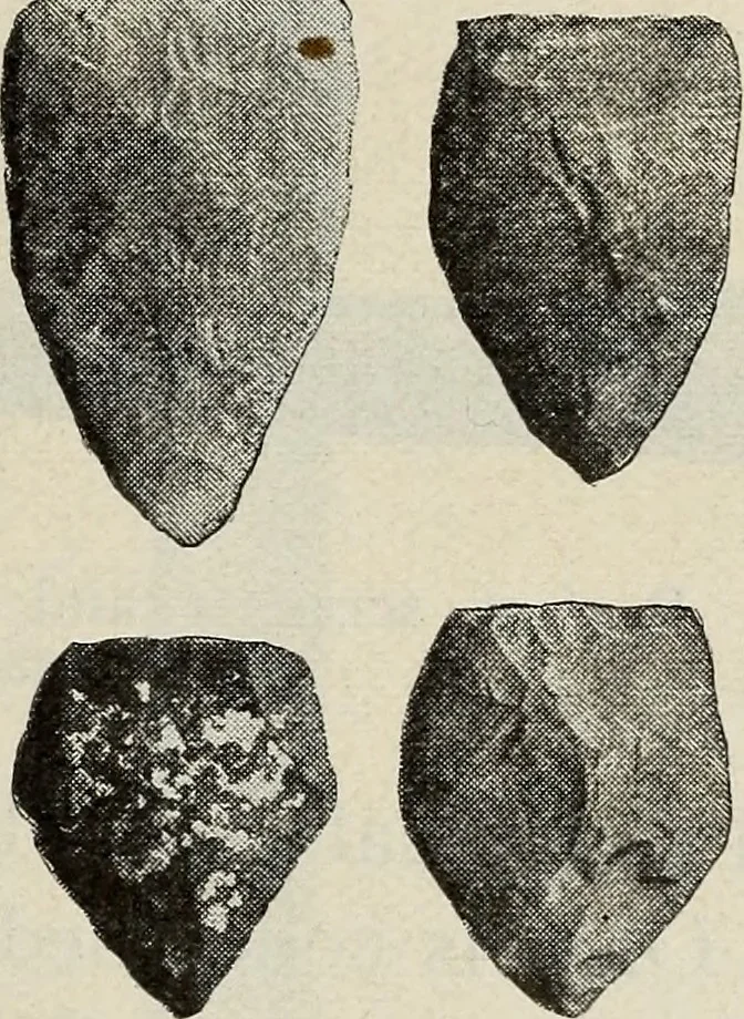 An illustration from Ohio archæological and historical quarterly, 1887, leaf 592