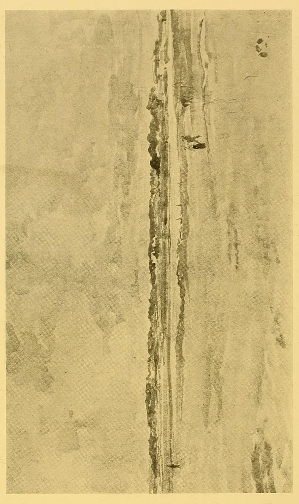 An illustration from Oils, water colors, pastels & drawings by James McNeill Whistler, 1911, leaf 34