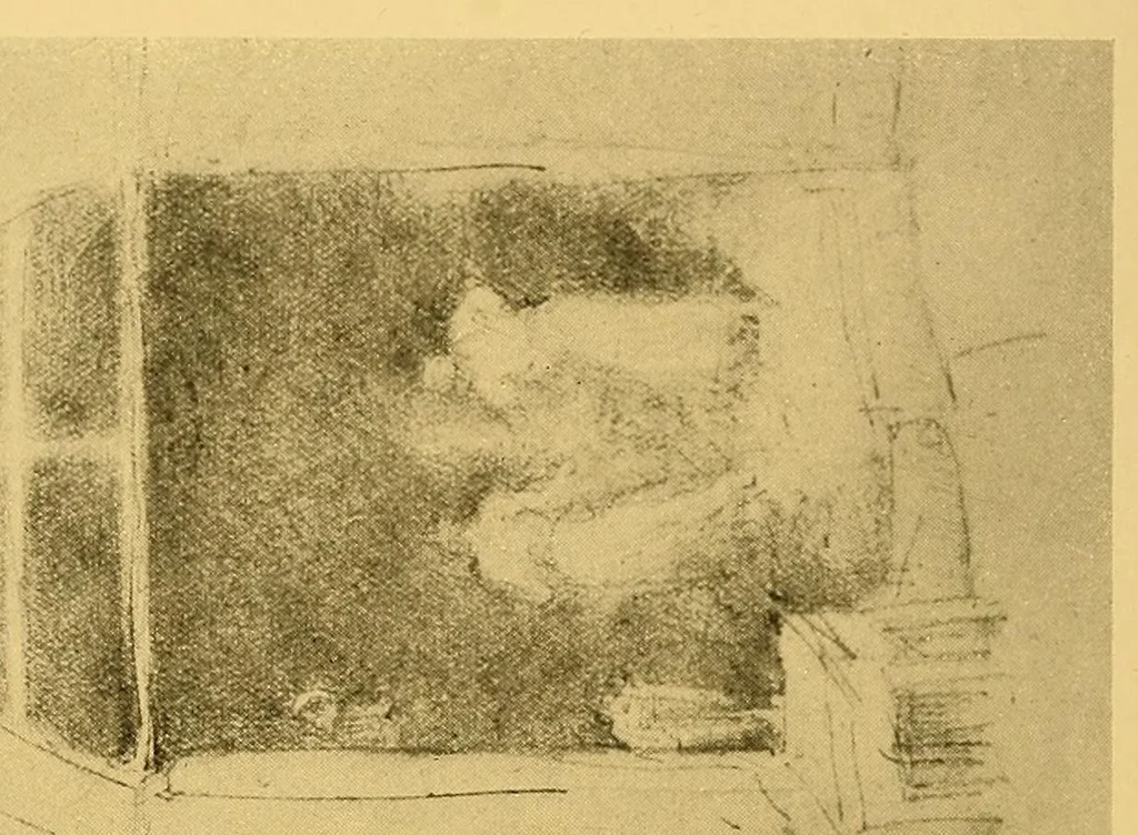 An illustration from Oils, water colors, pastels & drawings by James McNeill Whistler, 1911, leaf 52