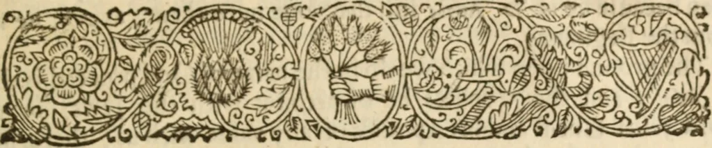 An illustration from Look unto Jesus, or, An ascent to the Holy Mount, to see Jesus Christ in his glory : whereby active and contemplative believer may have the eyes of his understanding more inlightned .., 1663, leaf 350