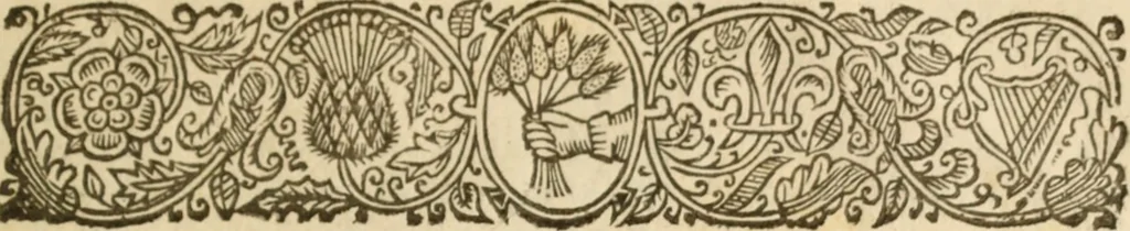 An illustration from Look unto Jesus, or, An ascent to the Holy Mount, to see Jesus Christ in his glory : whereby active and contemplative believer may have the eyes of his understanding more inlightned .., 1663, leaf 404