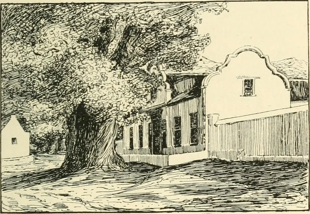 An illustration from Old Cape Colony; a chronicle of her men and houses from 1652-1806, 1903, leaf 148