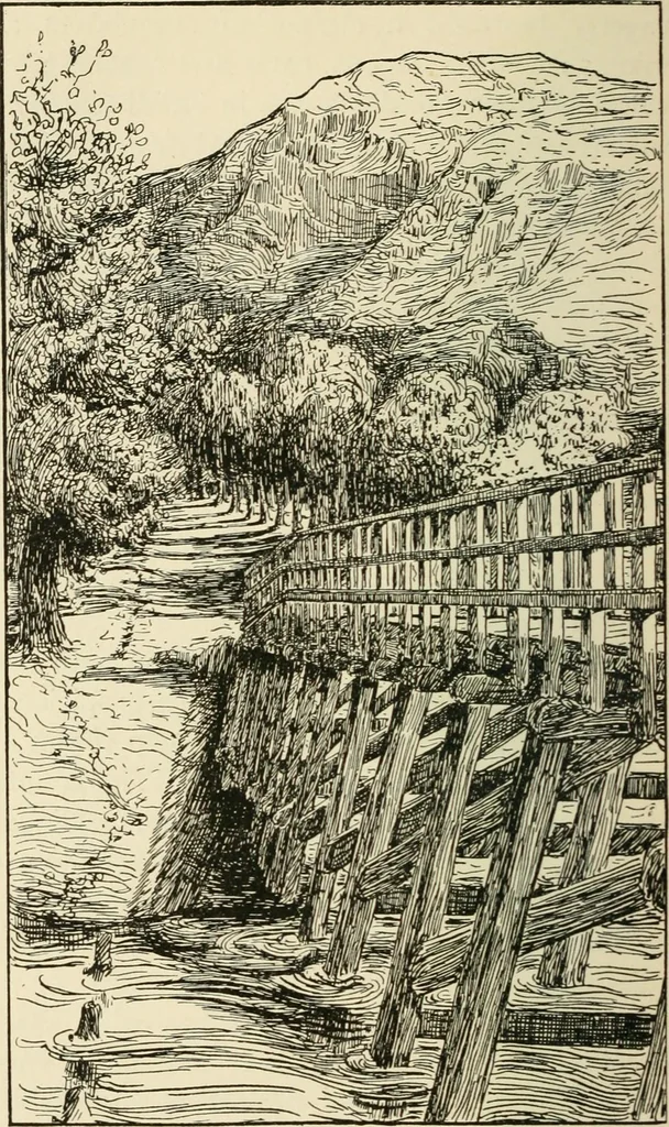 An illustration from Old Cape Colony; a chronicle of her men and houses from 1652-1806, 1903, leaf 233