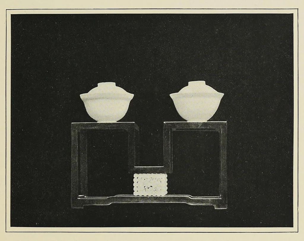 An illustration from Old Chinese porcelain and works of art in China : being description and illustrations of articles selected from an exhibition held in Shanghai, November, 1908, 1911, leaf 213