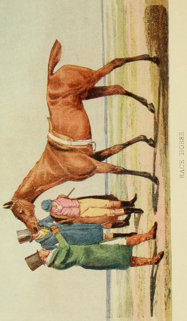 An illustration from Old coloured books, 1905, leaf 67