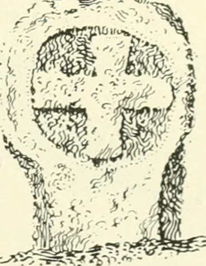 An illustration from Old Cornish crosses, 1896, leaf 100