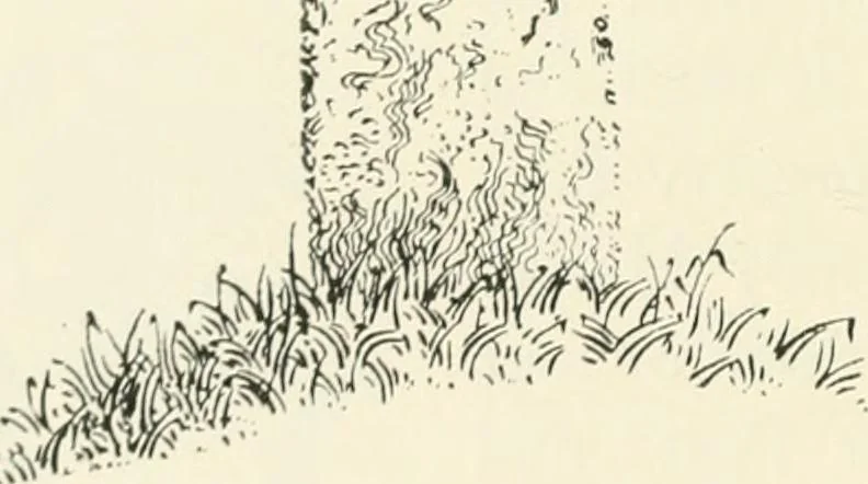 An illustration from Old Cornish crosses, 1896, leaf 101
