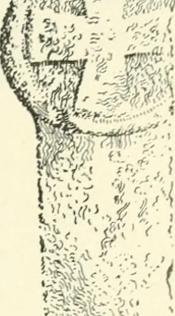 An illustration from Old Cornish crosses, 1896, leaf 108