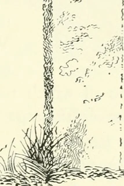 An illustration from Old Cornish crosses, 1896, leaf 110