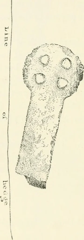 An illustration from Old Cornish crosses, 1896, leaf 121