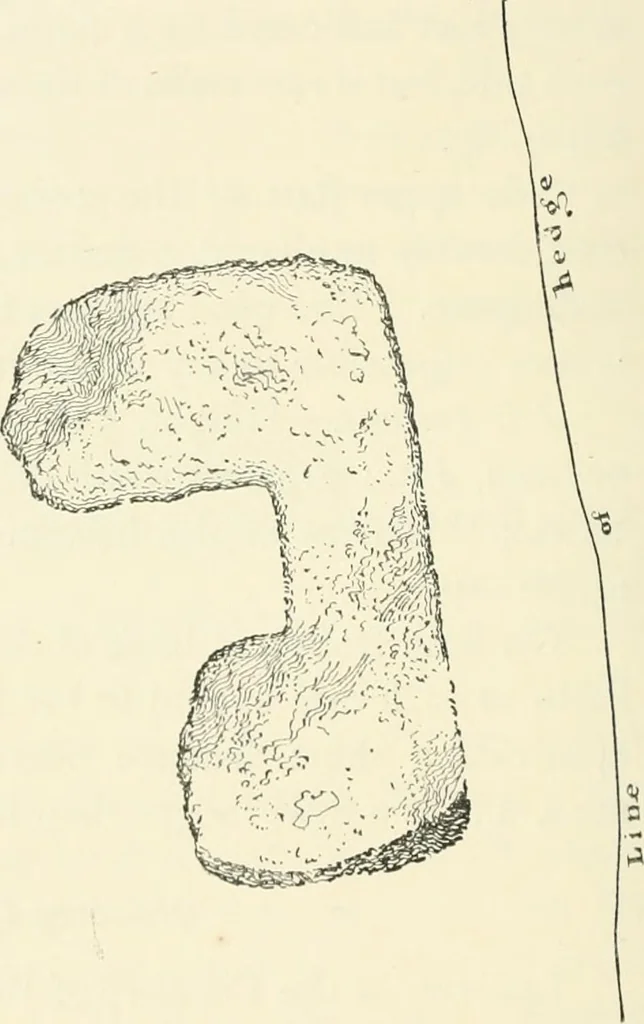 An illustration from Old Cornish crosses, 1896, leaf 121