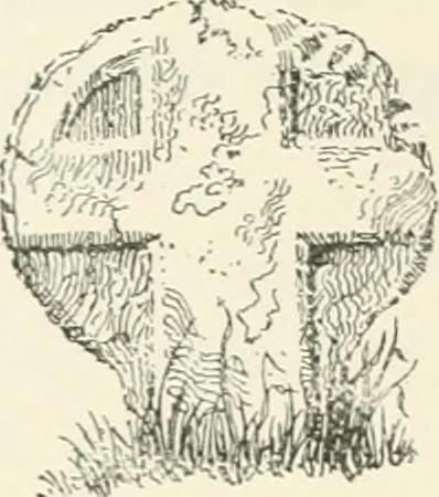 An illustration from Old Cornish crosses, 1896, leaf 125