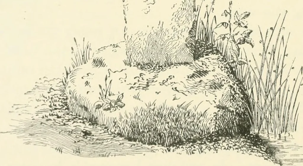 An illustration from Old Cornish crosses, 1896, leaf 127