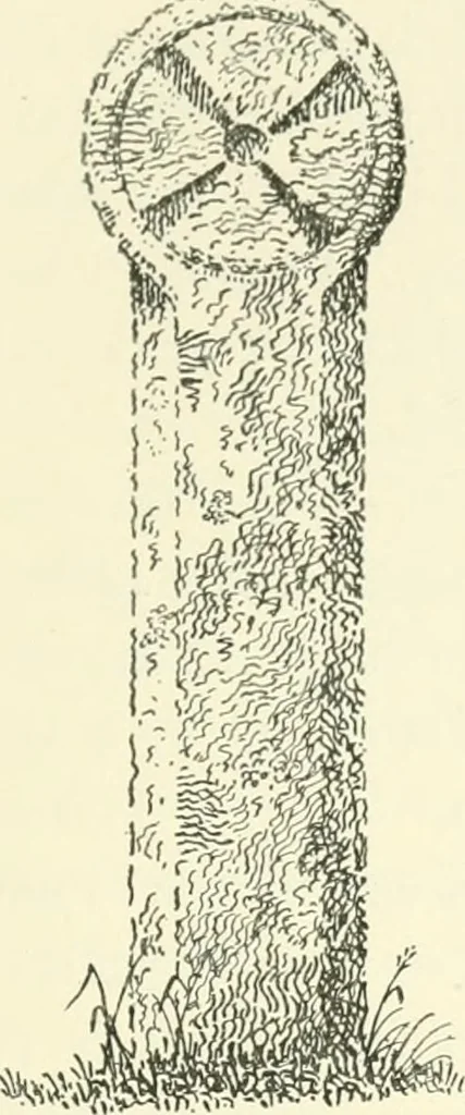 An illustration from Old Cornish crosses, 1896, leaf 130