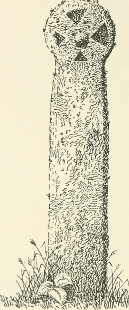 An illustration from Old Cornish crosses, 1896, leaf 131