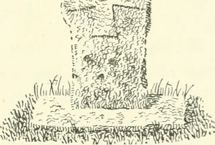An illustration from Old Cornish crosses, 1896, leaf 134