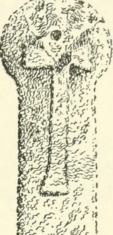 An illustration from Old Cornish crosses, 1896, leaf 142