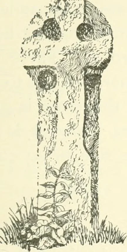 An illustration from Old Cornish crosses, 1896, leaf 150