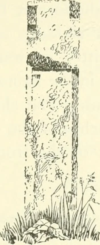 An illustration from Old Cornish crosses, 1896, leaf 150