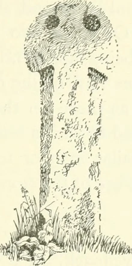 An illustration from Old Cornish crosses, 1896, leaf 150