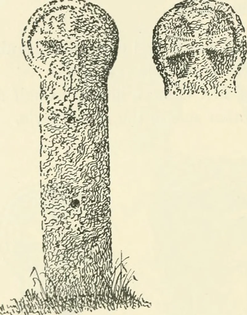An illustration from Old Cornish crosses, 1896, leaf 169