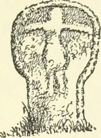 An illustration from Old Cornish crosses, 1896, leaf 174