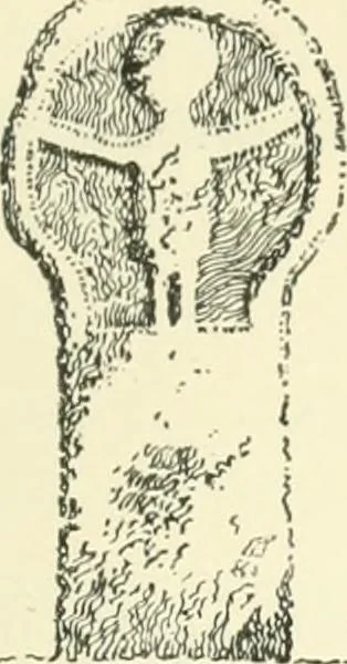 An illustration from Old Cornish crosses, 1896, leaf 178