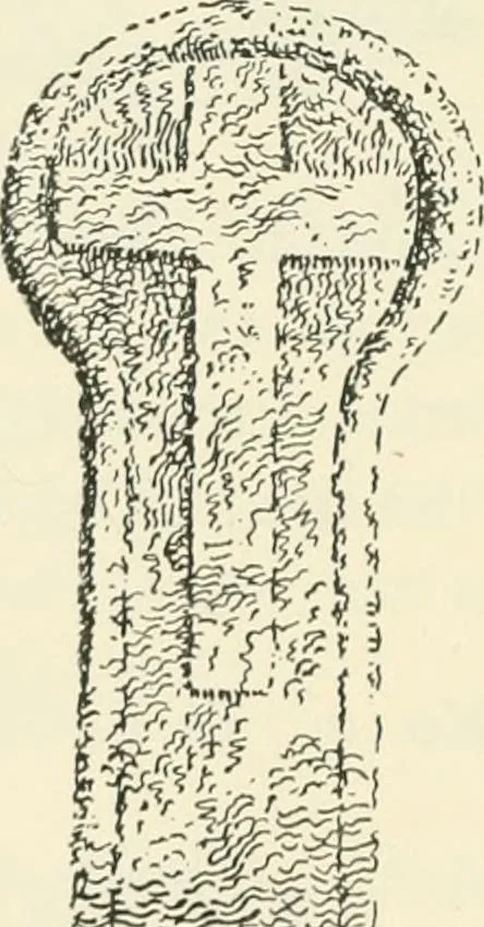 An illustration from Old Cornish crosses, 1896, leaf 179