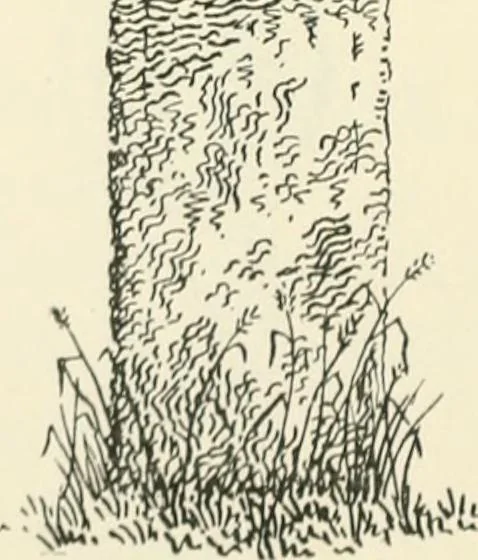 An illustration from Old Cornish crosses, 1896, leaf 179