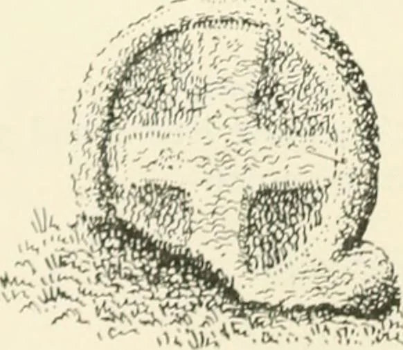An illustration from Old Cornish crosses, 1896, leaf 191