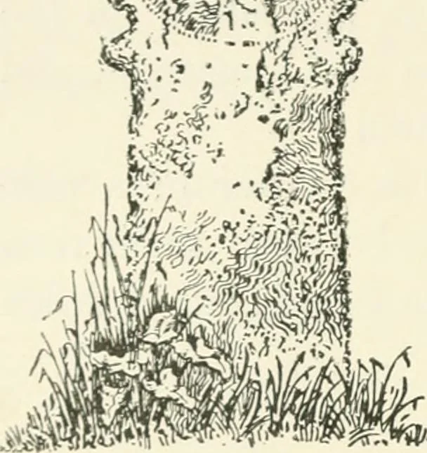 An illustration from Old Cornish crosses, 1896, leaf 193