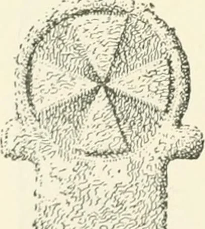 An illustration from Old Cornish crosses, 1896, leaf 197