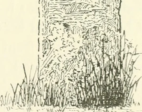 An illustration from Old Cornish crosses, 1896, leaf 198