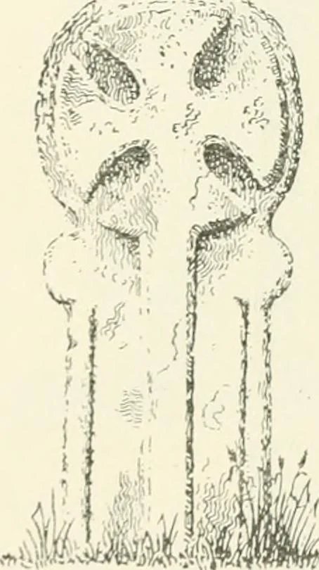 An illustration from Old Cornish crosses, 1896, leaf 201