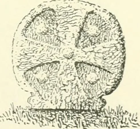 An illustration from Old Cornish crosses, 1896, leaf 204