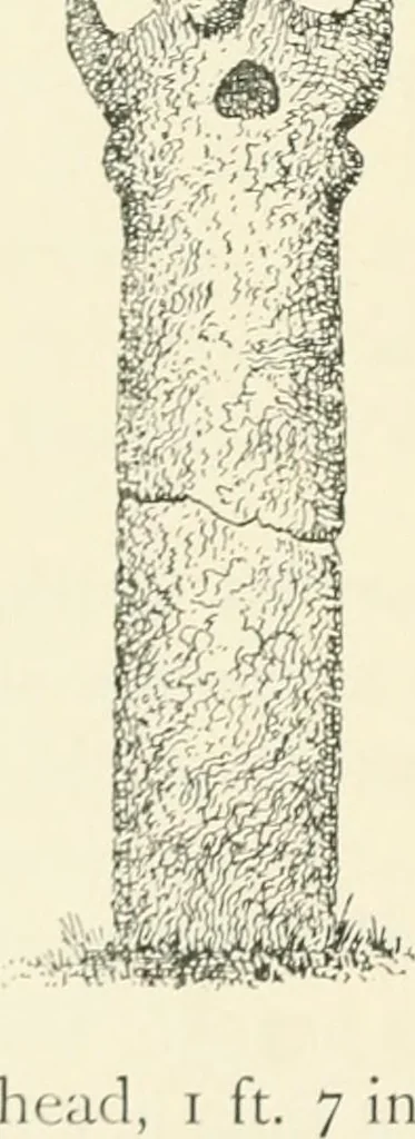 An illustration from Old Cornish crosses, 1896, leaf 215
