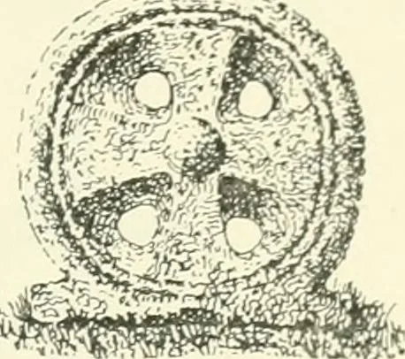 An illustration from Old Cornish crosses, 1896, leaf 220