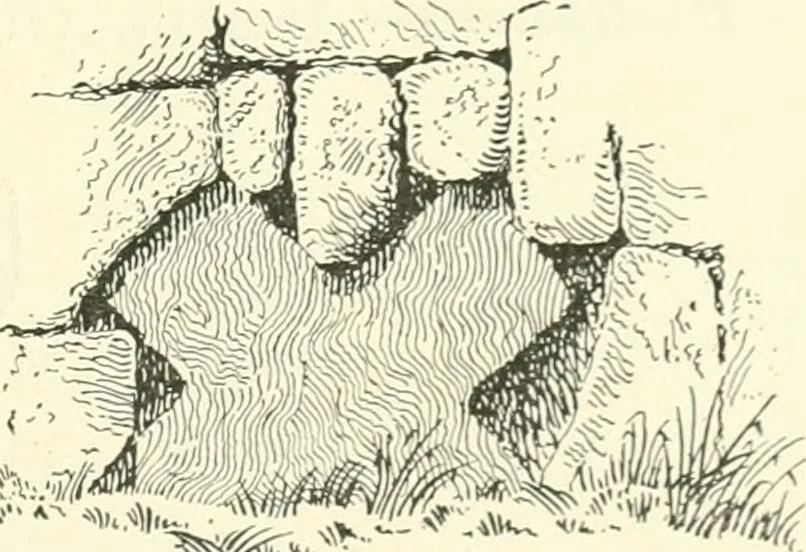 An illustration from Old Cornish crosses, 1896, leaf 240