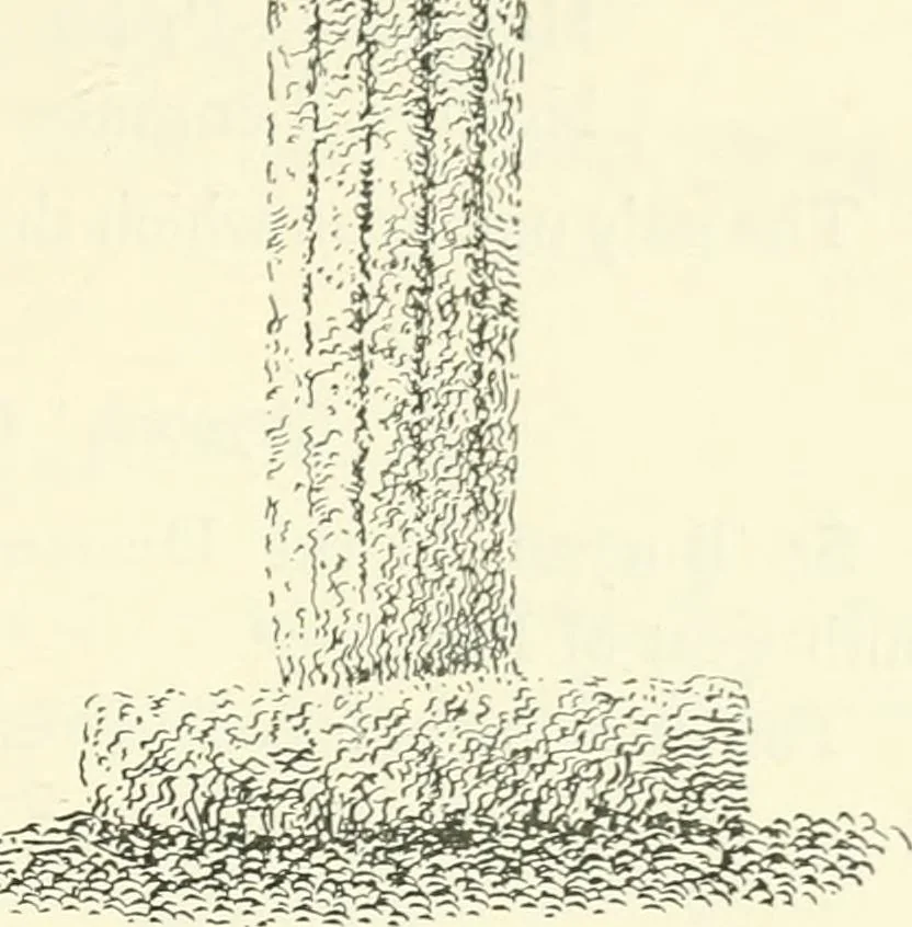 An illustration from Old Cornish crosses, 1896, leaf 246