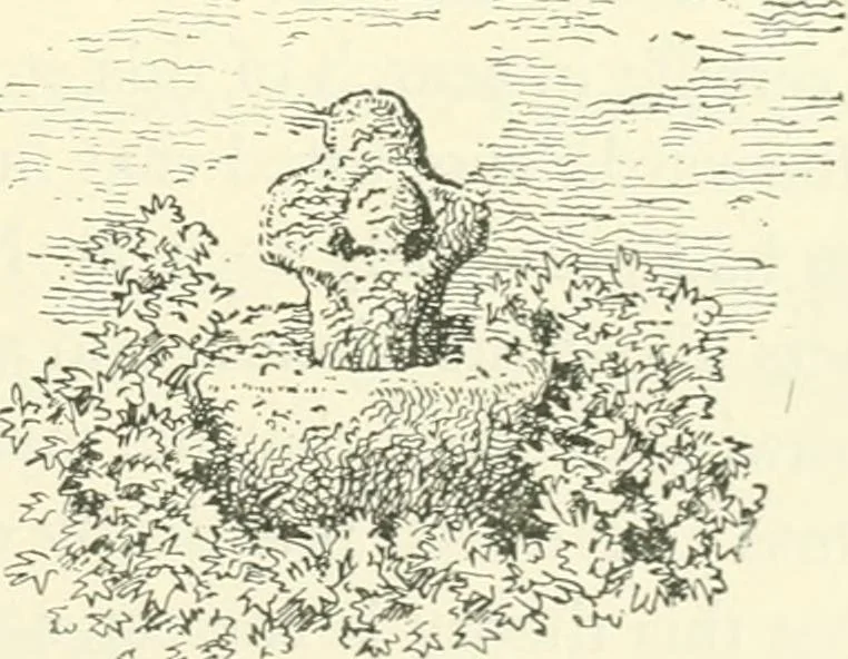 An illustration from Old Cornish crosses, 1896, leaf 248