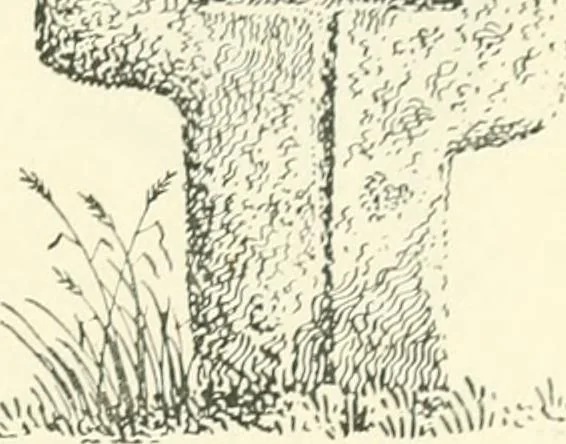 An illustration from Old Cornish crosses, 1896, leaf 292