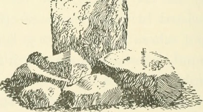 An illustration from Old Cornish crosses, 1896, leaf 319