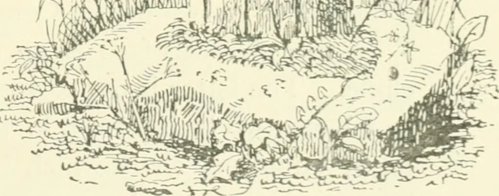 An illustration from Old Cornish crosses, 1896, leaf 320