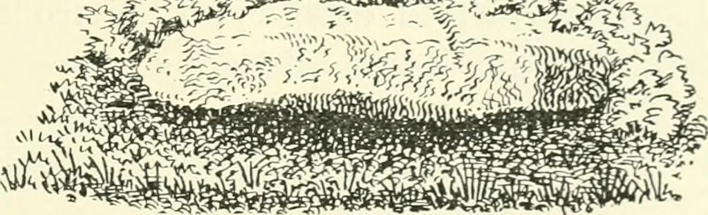 An illustration from Old Cornish crosses, 1896, leaf 328