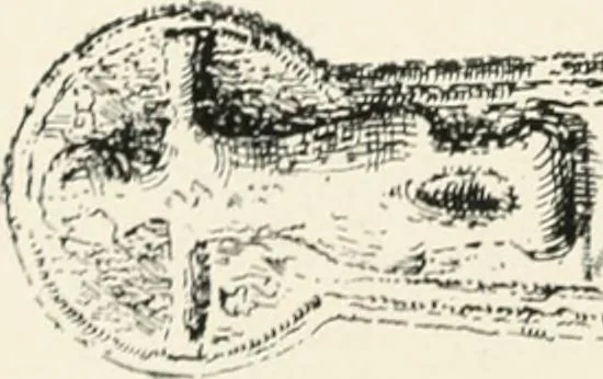 An illustration from Old Cornish crosses, 1896, leaf 343