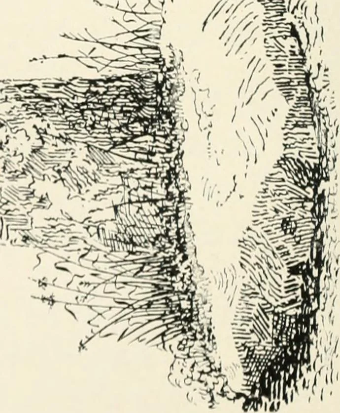 An illustration from Old Cornish crosses, 1896, leaf 343