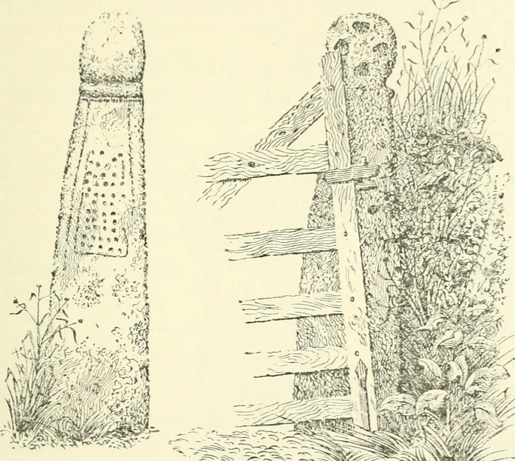 An illustration from Old Cornish crosses, 1896, leaf 354